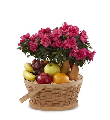 The FTD Encircling Grace(tm) Fruit & Plant Basket